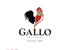 Gallo | SaboresDePortugal.nl