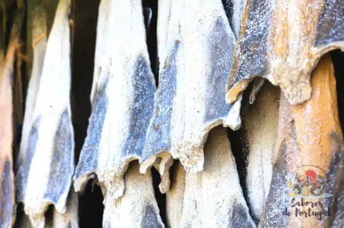 5 dingen die je moet weten over bacalhau | SaboresDePortugal.nl 5 dingen die je moet weten over bacalhau | SaboresDePortugal.nl