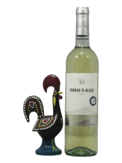 Terras de Alleu - Vinho Branco | Per Fles | SaboresDePortugal.nl