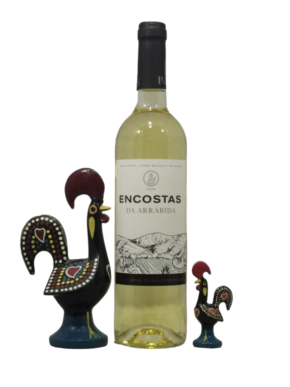 Encostas da Arrábida - Vinho Branco | SaboresDePortugal