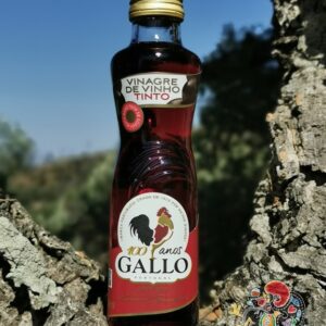 Gallo Vinagre Vinho Tinto | SaboresDePortugal.nl